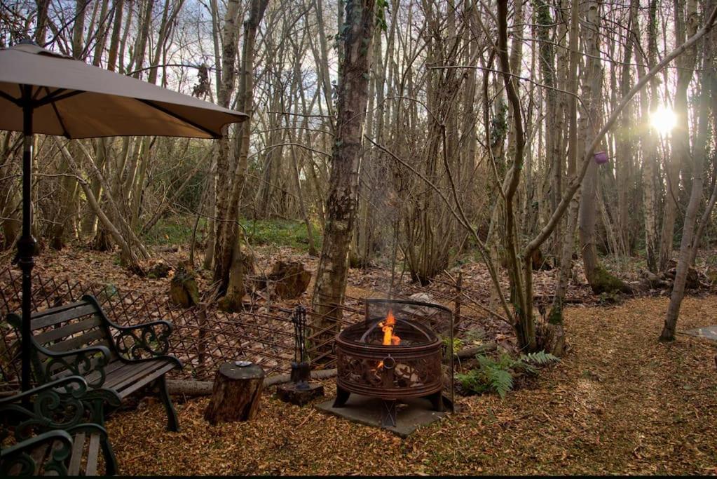Cosy Woodland Romantic Retreat With Log Fires And Nature Sturry Экстерьер фото
